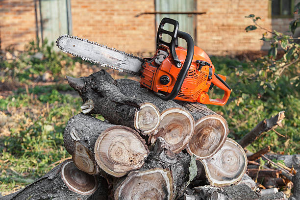  Aurora, OH Tree Service Pros